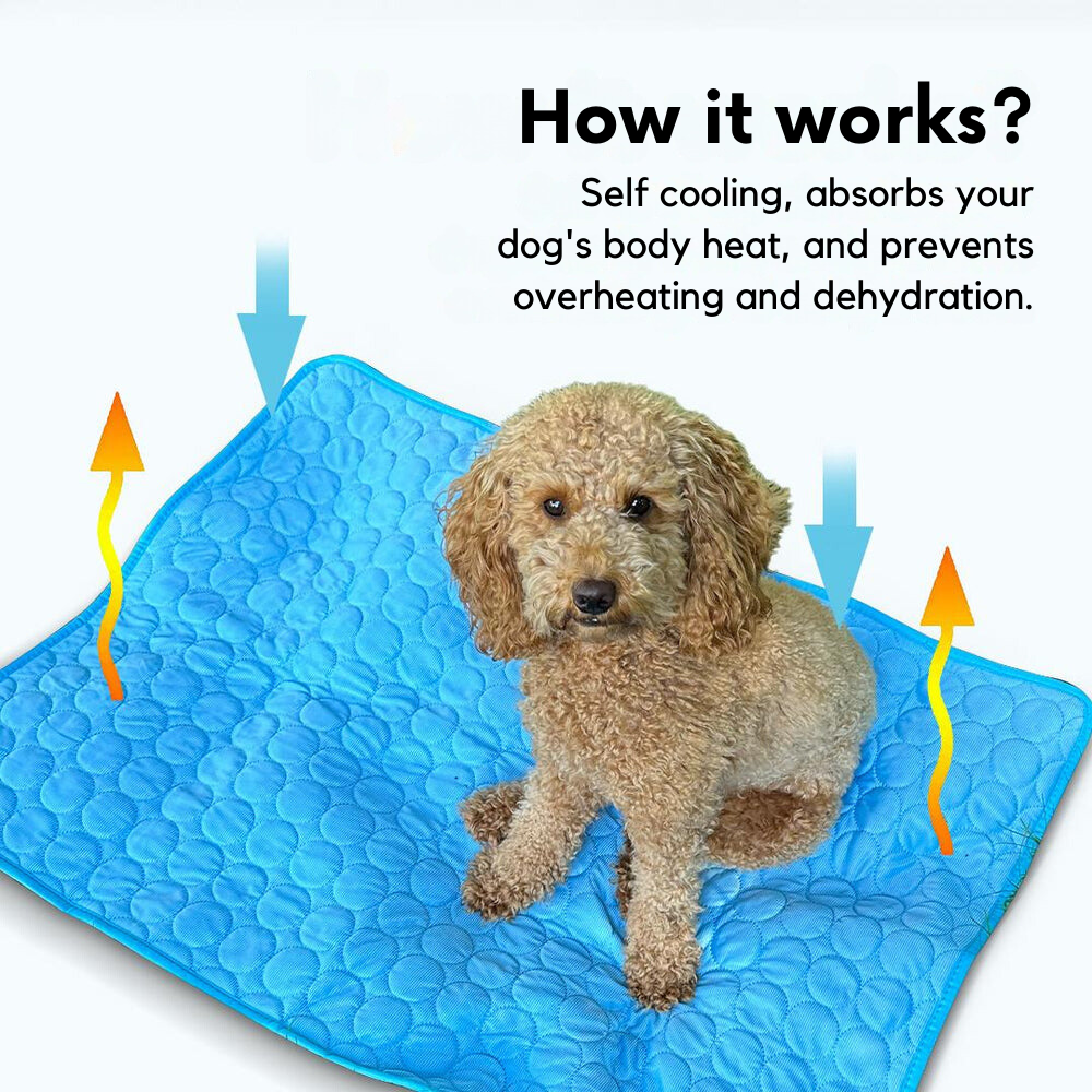 CoolPaw™ Cooling Mat