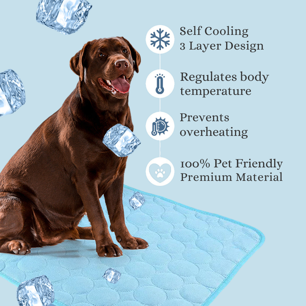 CoolPaw™ Cooling Mat