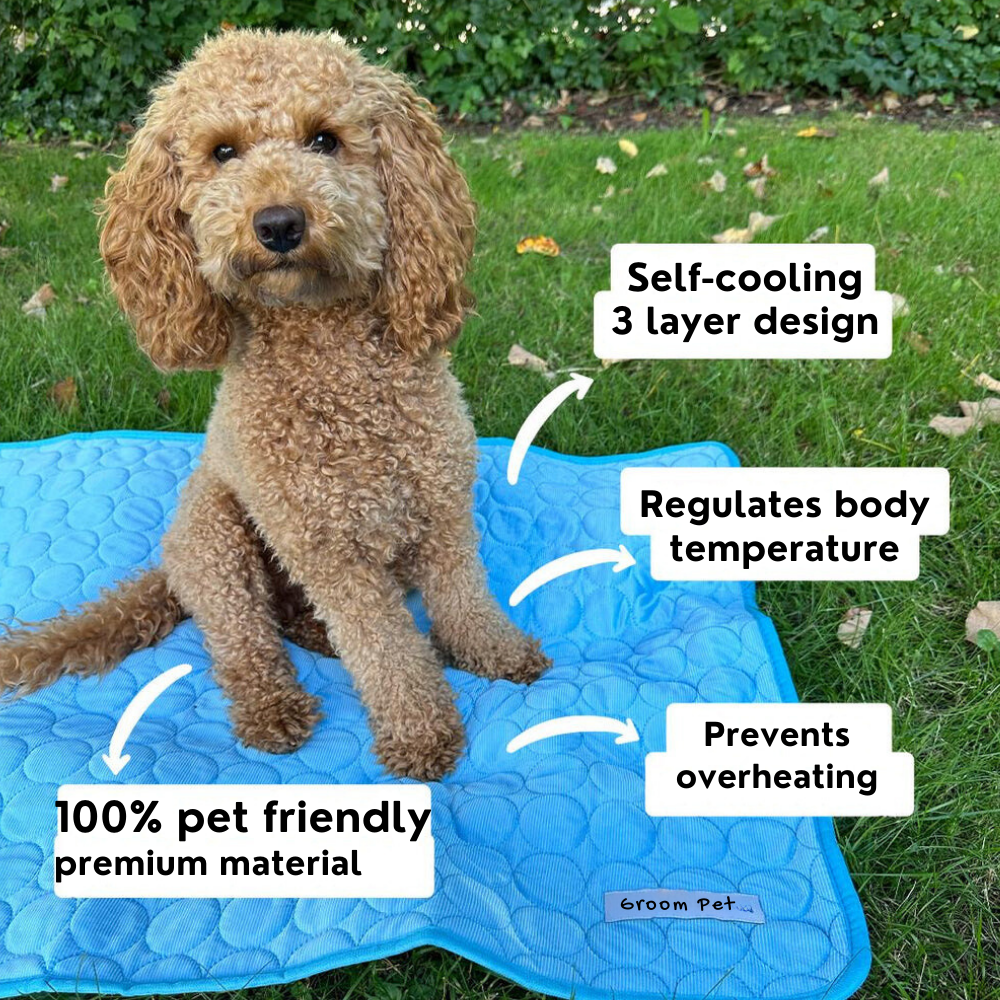 CoolPaw™ Cooling Mat