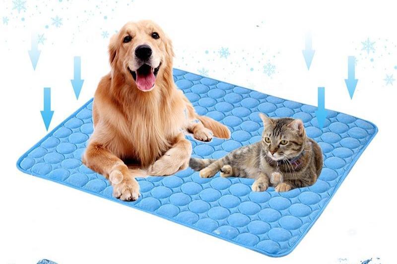 CoolPaw™ Cooling Mat